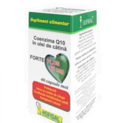Coenzima Q10 in ulei de catina Forte Plus 60mg, 40 capsule moi, Hofigal